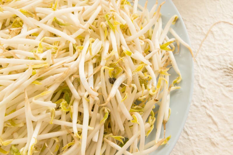 Bean sprouts stock photo. Image of ingredient, vegetarian 29750314