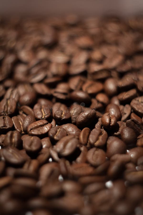 bean śniadanie kawa ideał wyizolował makro nadmiar białych zdjęcie stock bean śniadanie kawa ideał wyizolował makro nadmiar białych zdjęcie stock