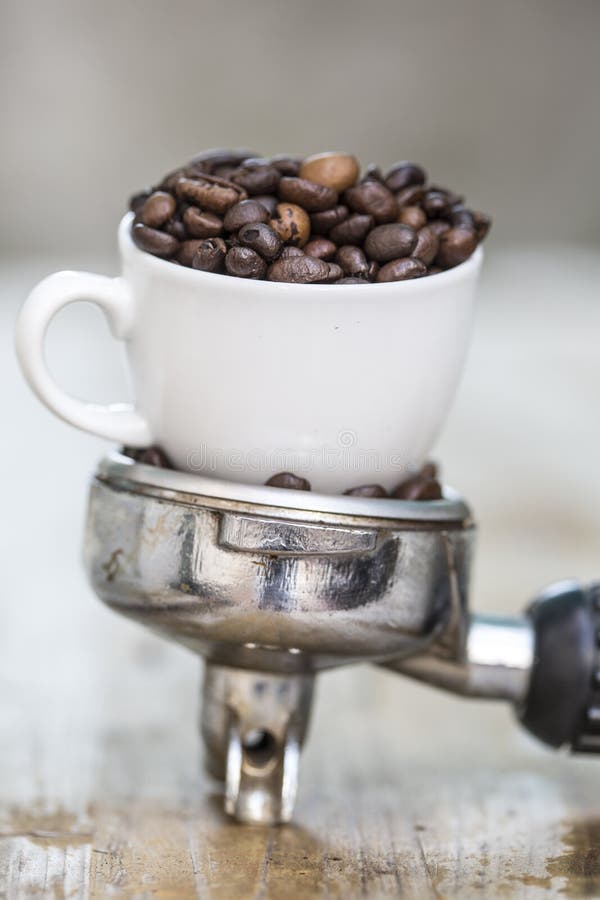 bean śniadanie kawa ideał wyizolował makro nadmiar białych zdjęcie royalty free bean śniadanie kawa ideał wyizolował makro nadmiar białych zdjęcie royalty free