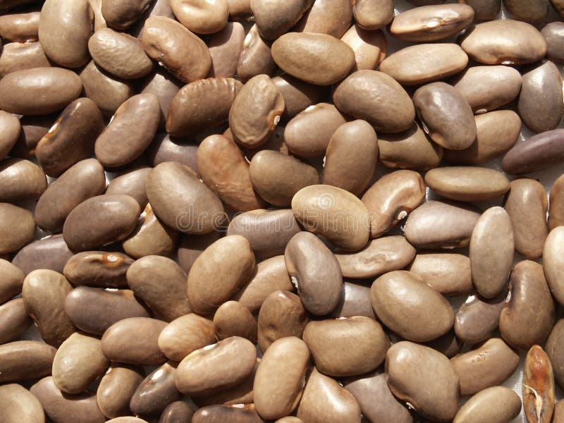 Beans royalty free stock photography