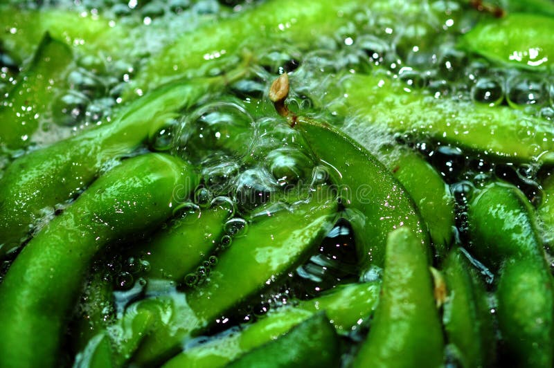 Einen Topf mit edamame Hülsen Kochen im boling Wasser.