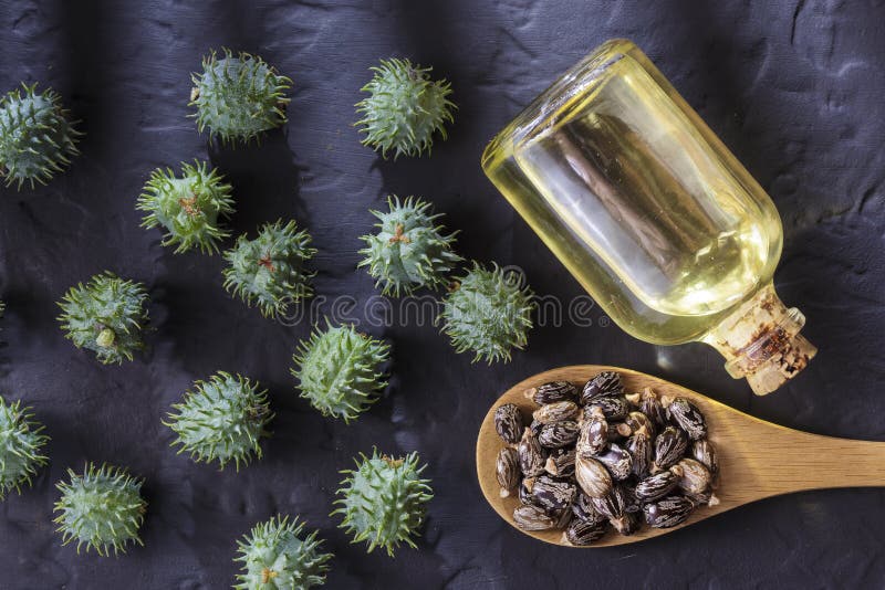 Beans and castor oil stock image. Image of beans, castor 113497639