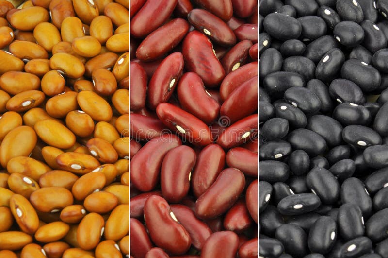 Beans - collection of brown, red kidney and black beans stock photos Beans - collection of brown, red kidney and black beans stock photos