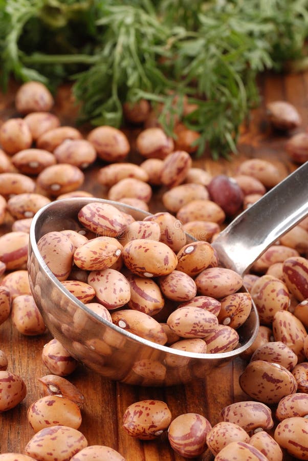 Beans in a ladle of steel stock photo. Image of group 26330392