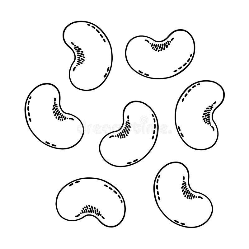 bean clipart black and white