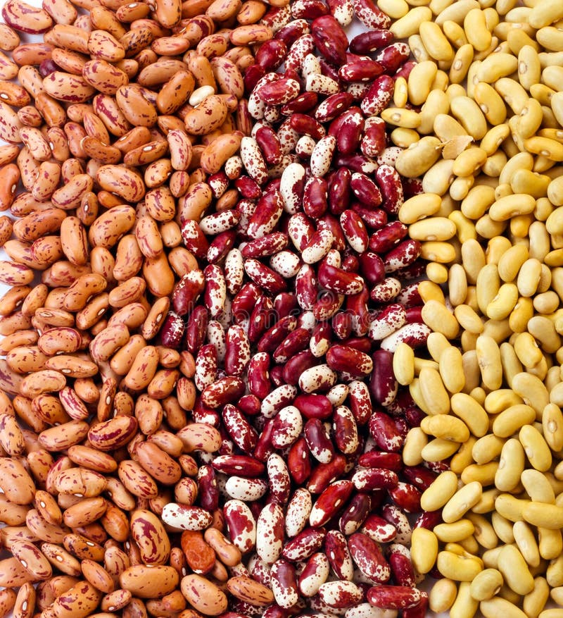 Three types of beans stock photo. Image of types, healthy 34799260