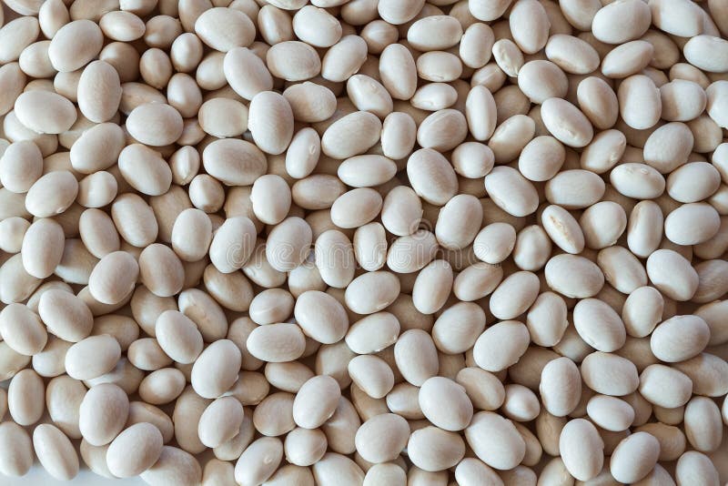 Beans white haricot stock image. Image of heap, plant 65543209
