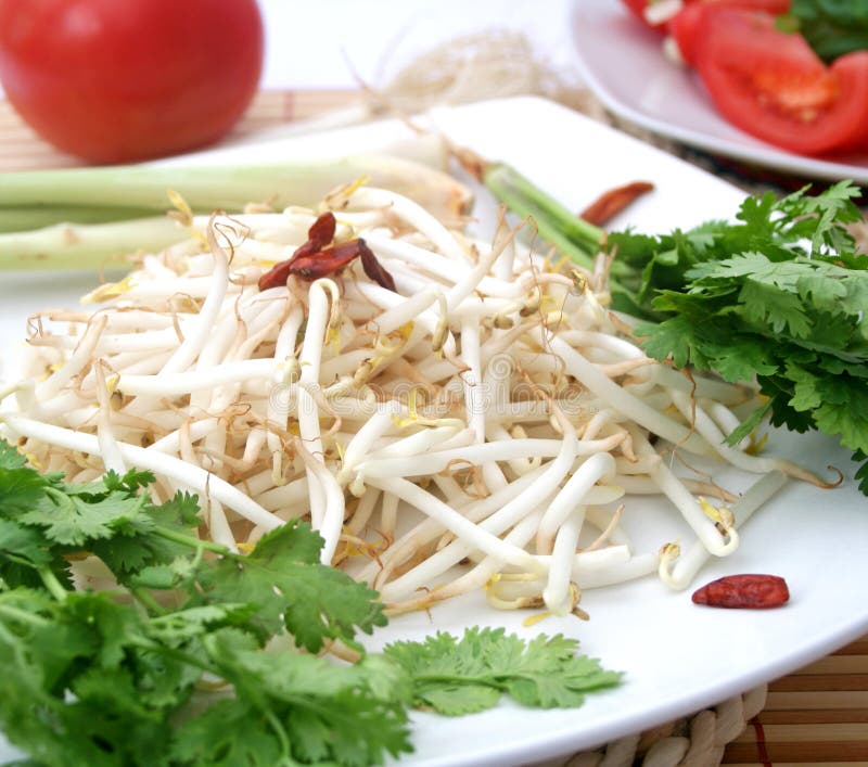 Beansprouts stock photo. Image of sprouts, vitamins, healthy 37199112