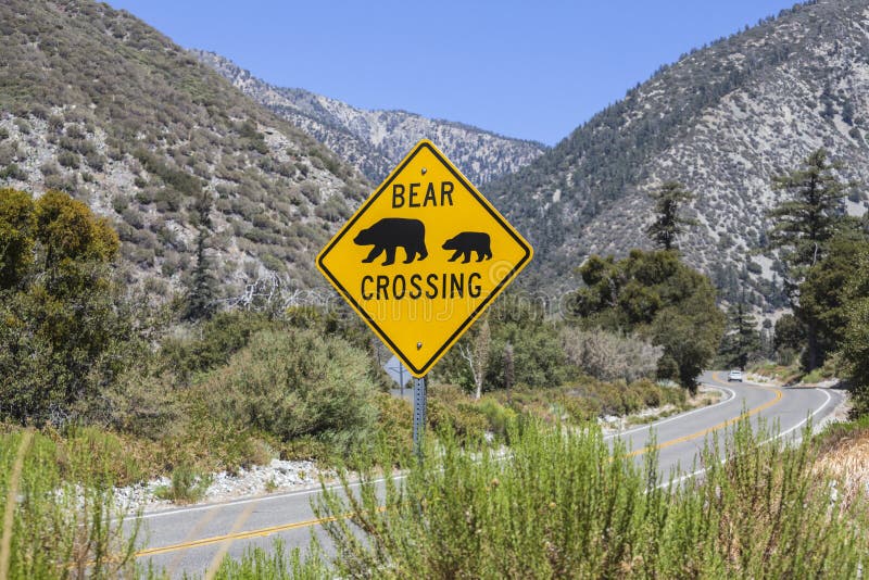 Bear Crossing Sign on Highway on Rural Mountain Road