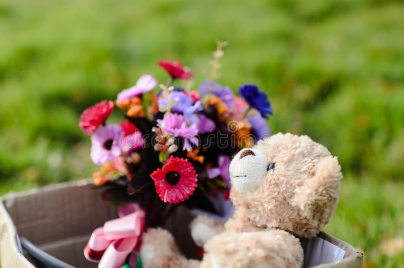 Bear Flower Bouquet Brown Box Green Grass Natural Stock Photos Free
