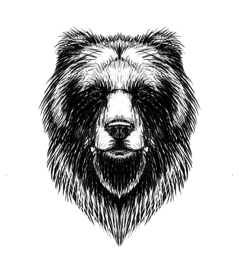Top 51 hình ảnh avatar bears vừa cập nhật  hoccatmayeduvn