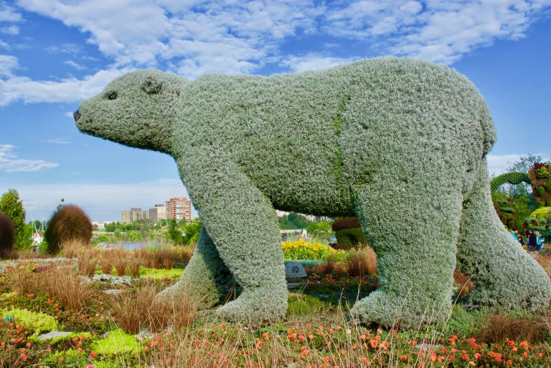 Bear from plants stock photo. Image of flowers, nature 98212506