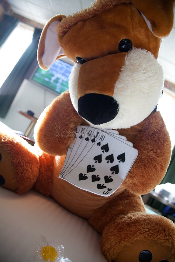 Bear playing cards