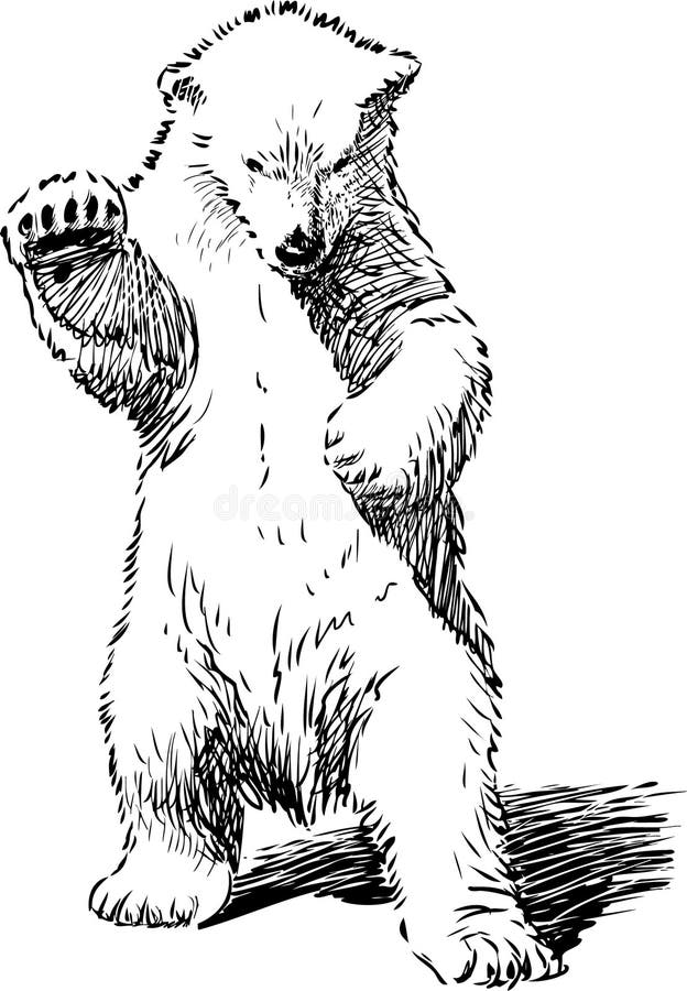 Standing Angry Bear Drawing