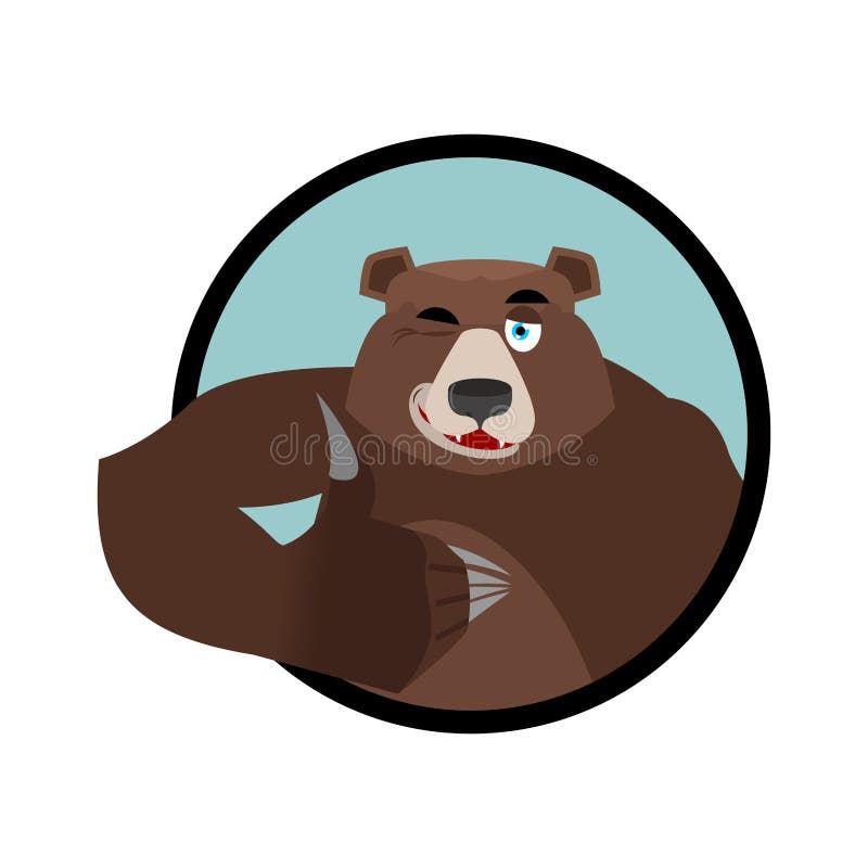 Bear thumbs up and winks. all well Grizzlies. Signs all right. H vector illustration Bear thumbs up and winks. all well Grizzlies. Signs all right. H vector illustration