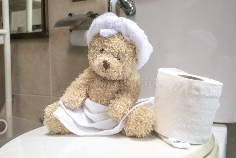 Bear is in toilet stock photo. Image of sitting, kids 120819884