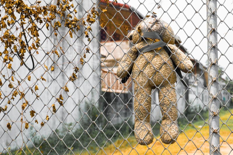 Bear was hanged on metal fence