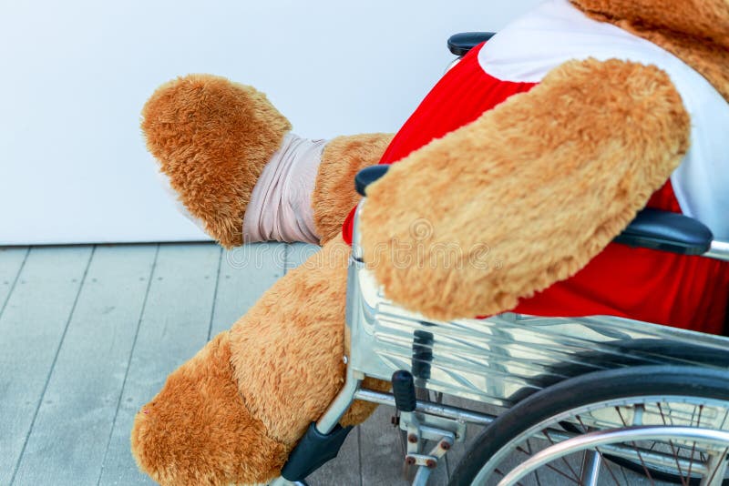 Bear and wheelchair stock photo. Image of education, lovely 78540886