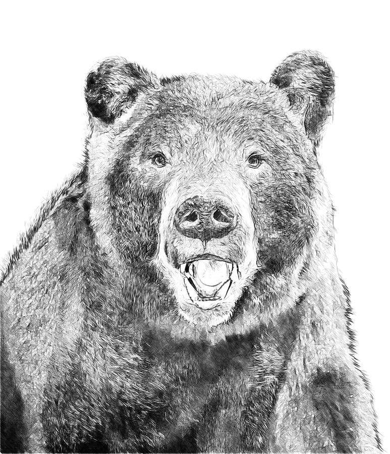 Standing Bear Illustration stock vector Illustration of mountain   113424917