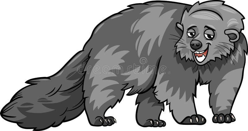 Bearcat animal cartoon illustration