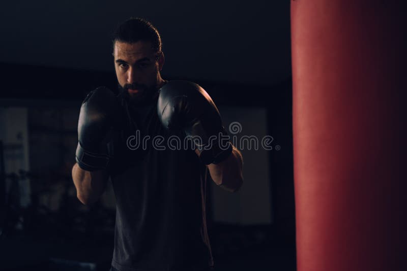 Boxer in Guard Posing by the Heavy Bag Stock Photo Image of exercising, handsome 140986494