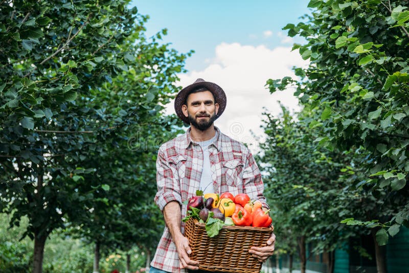 Farmer holding basket with vegetables