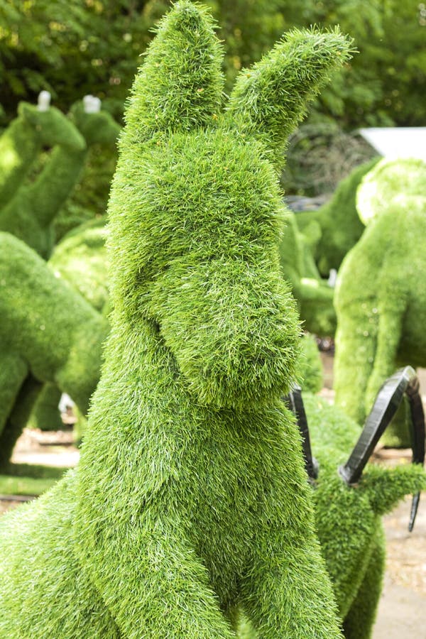 203 Green Animals Topiary Garden Stock Photos - Free & Royalty-Free Stock  Photos from Dreamstime