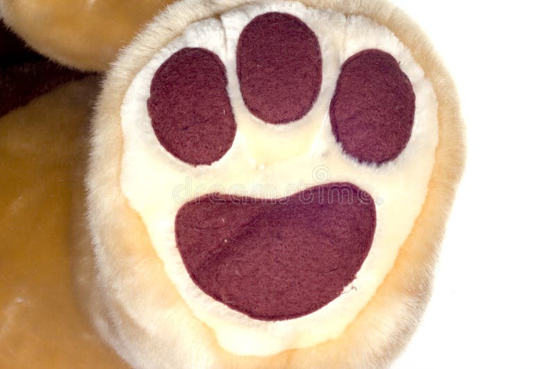Bears foot stock image. Image of plush, white, form, step 7815055