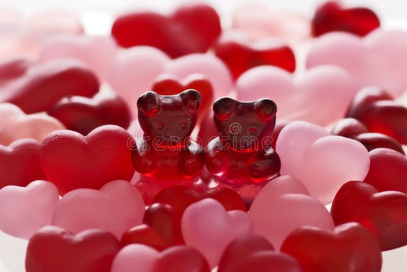 Bears in Love editorial stock image. Image of glaring 8063864