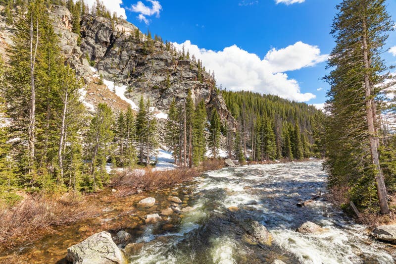 Beartooth creek wiosna topniejący śnieg zdjęcie royalty free