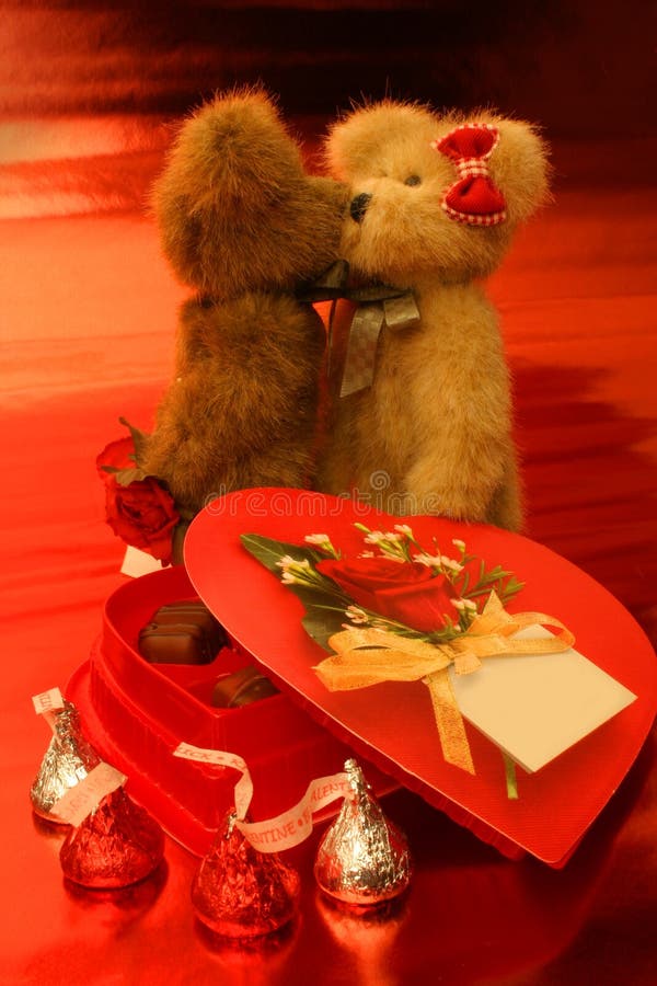 Beary Much In Love
