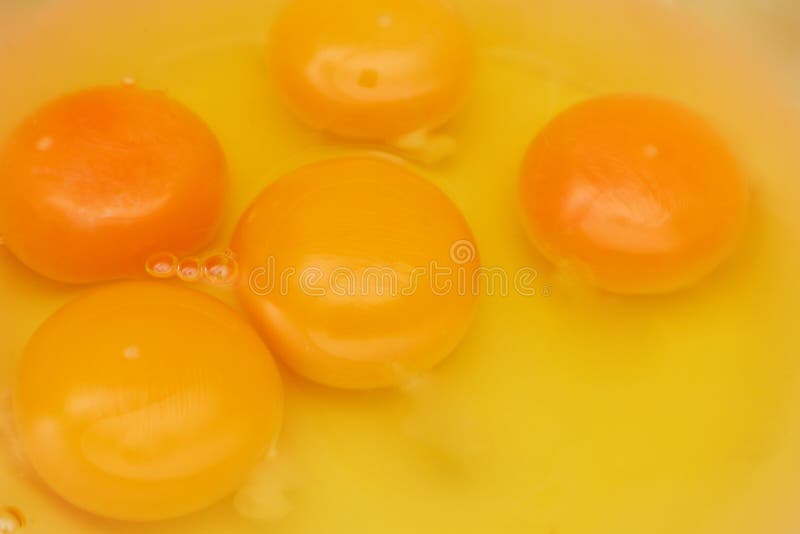 Protein Egg Drink stock photo. Image of muscle, dairy 7730310