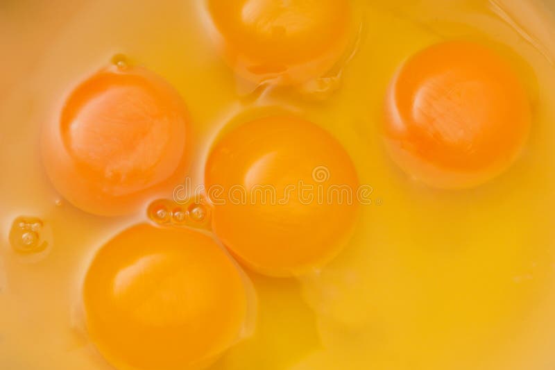 Protein Egg Drink stock photo. Image of muscle, dairy 7730310