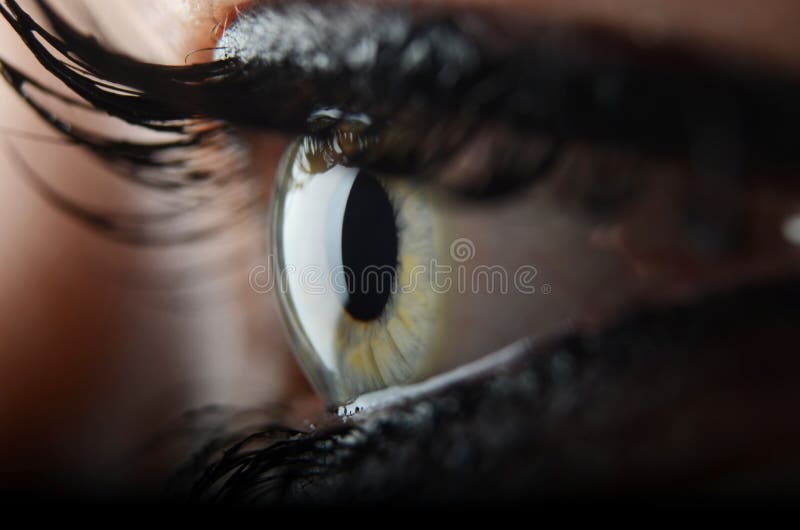 Beatiful eye royalty free stock images