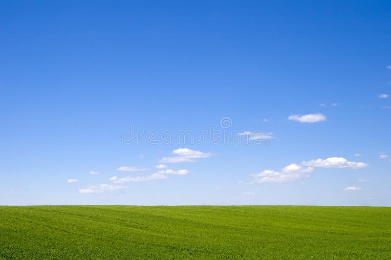 Beatiful green grass and blue sky