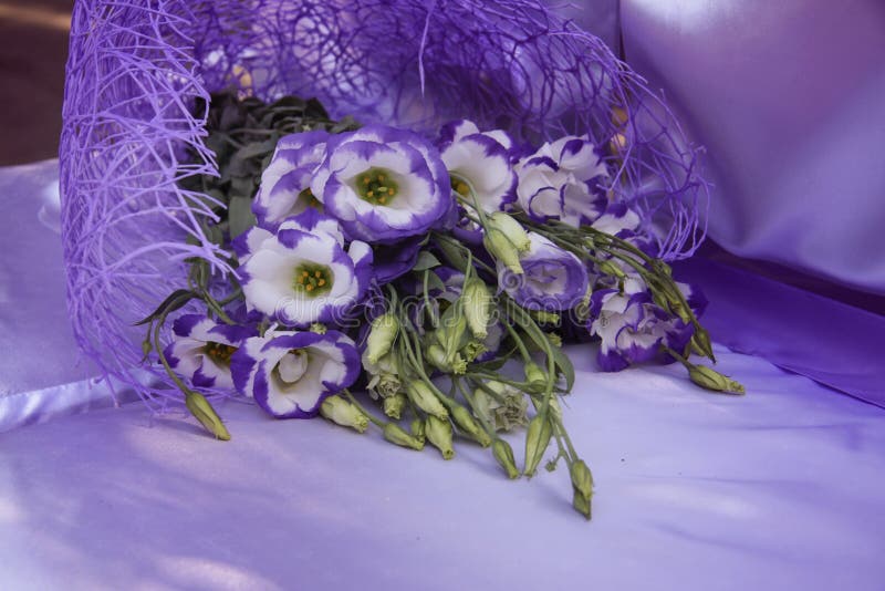 Beau bouquet dans la couleur mauve photos stock Beau bouquet dans la couleur mauve photos stock