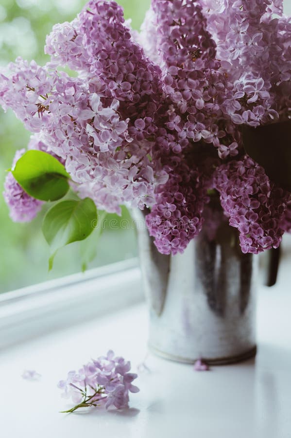 Beau bouquet des lilas image stock Beau bouquet des lilas image stock
