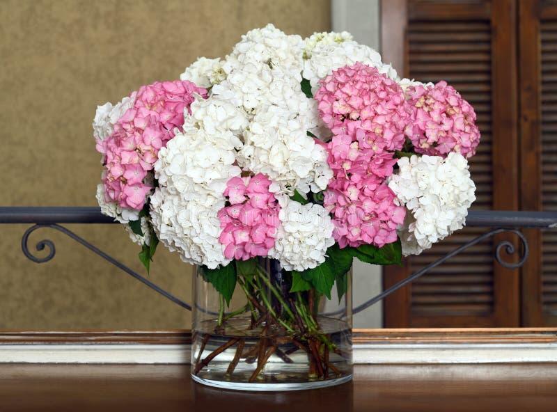 Beau bouquet hydrangea photographie stock