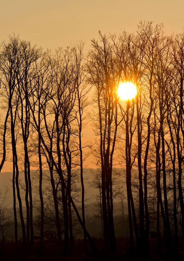 Beau coucher du soleil image stock Beau coucher du soleil image stock