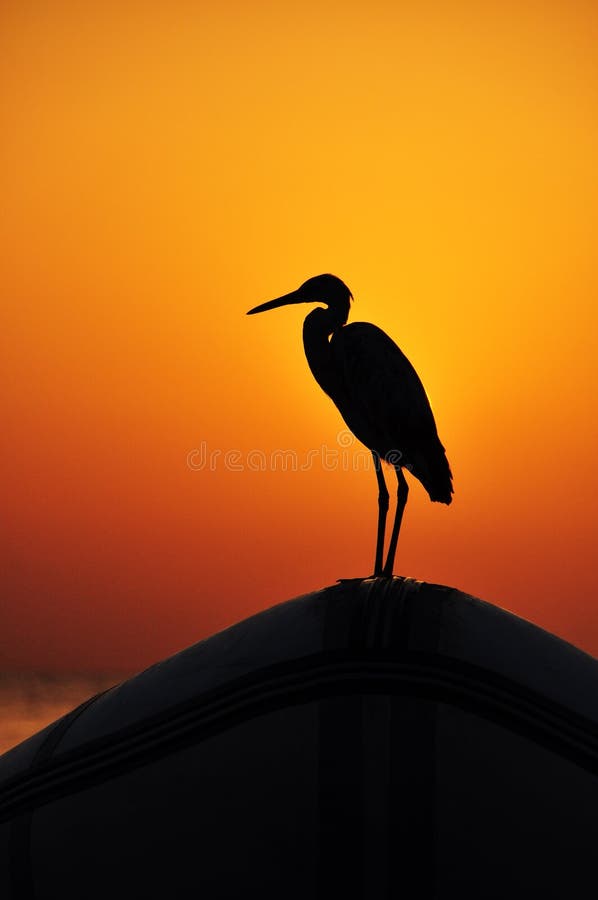 Beau coucher du soleil au-dessus de la mer avec des r?flexions des rayons rouges et jaunes sur la surface de mer jouant sur les v photographie stock libre de droits Beau coucher du soleil au-dessus de la mer avec des r?flexions des rayons rouges et jaunes sur la surface de mer jouant sur les v photographie stock libre de droits