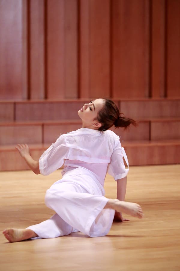 Beau danseur classique de femme de style moderne images stock Beau danseur classique de femme de style moderne images stock