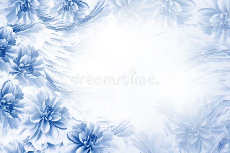 Beau fond blanc bleu floral Composition des dahlias blanc bleu de fleurs Carte postale pour les vacances nature photos libres de droits Beau fond blanc bleu floral Composition des dahlias blanc bleu de fleurs Carte postale pour les vacances nature photos libres de droits