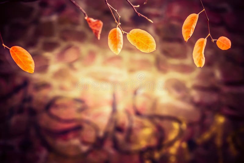 Beau fond d'automne avec des feuilles d'or photo libre de droits Beau fond d'automne avec des feuilles d'or photo libre de droits