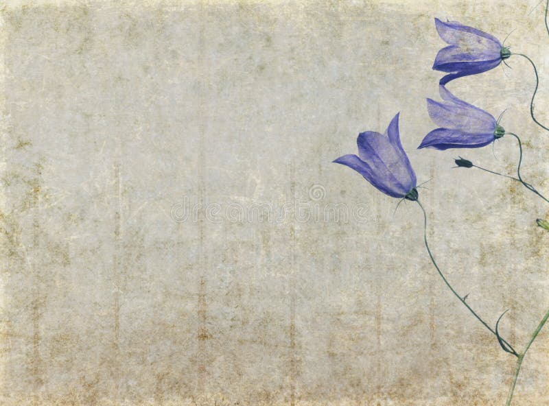 Jolie image de fond illustration stock