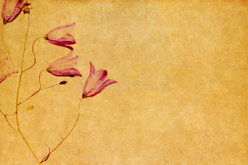 Jolie image de fond illustration stock