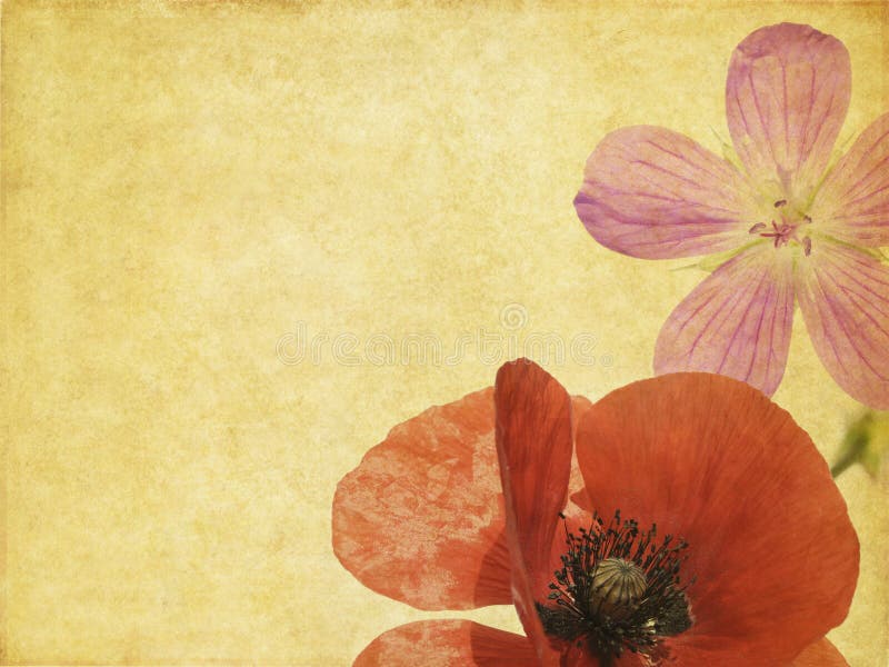 Jolie image de fond illustration libre de droits