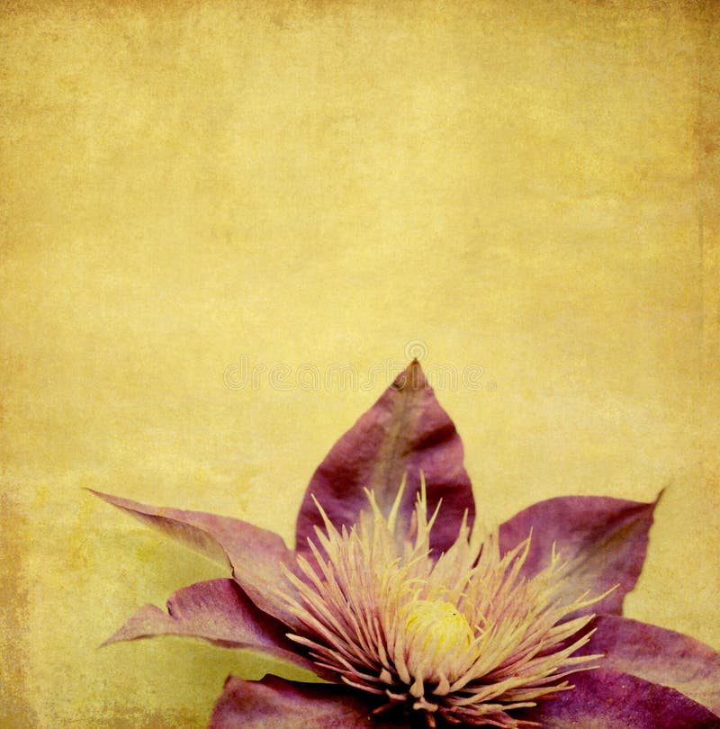 Jolie image de fond illustration libre de droits