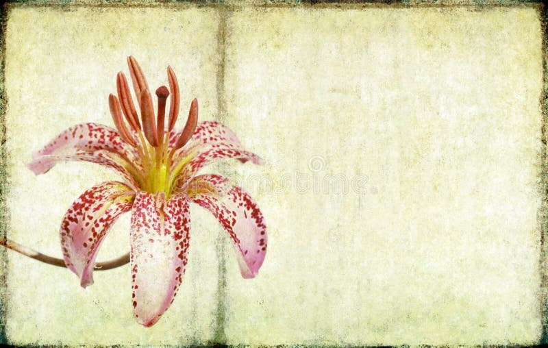 Jolie image de fond illustration de vecteur