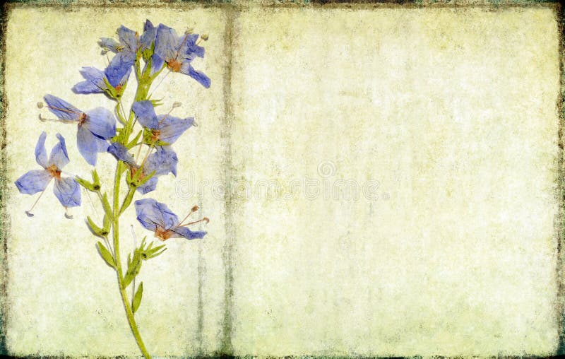 Jolie image de fond illustration de vecteur