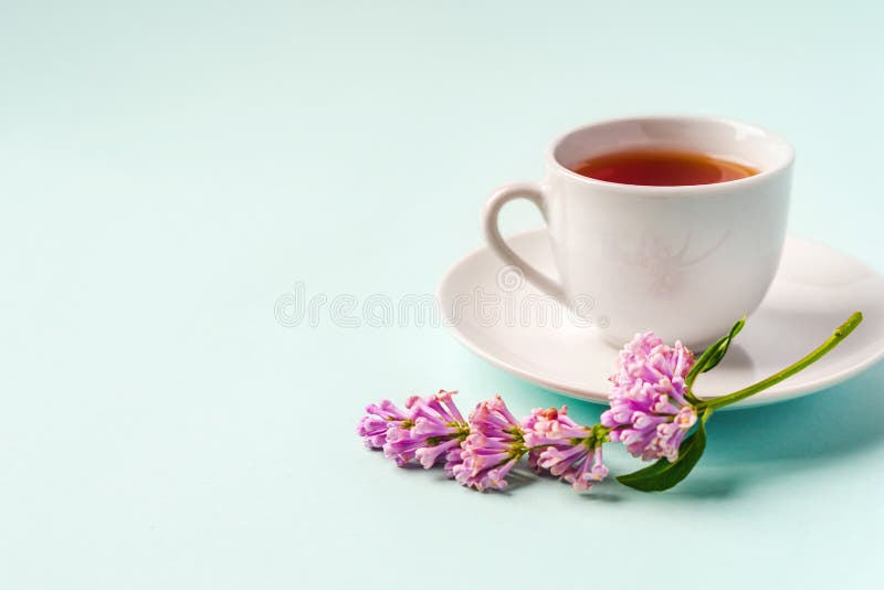 Beau fond minimaliste avec composition florale et espace copie de tasse de thé sur fond bleu clair photographie stock